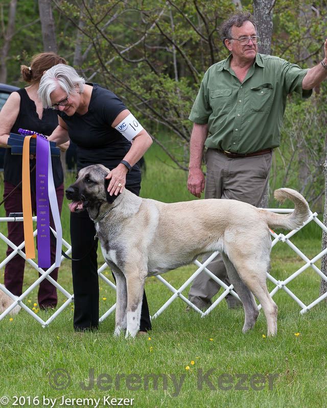 20160521-kdca-0117.jpg