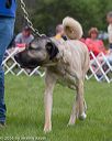 20160521-kdca-0135