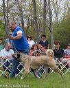 20160521-kdca-0143