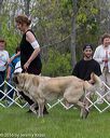 20160521-kdca-0152