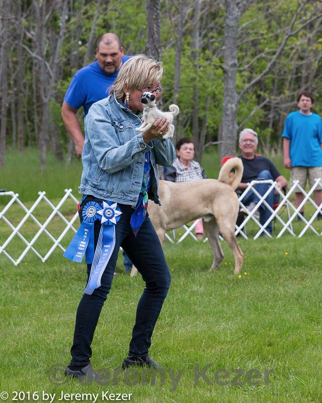 20160521-kdca-0148.jpg