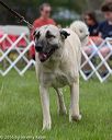 20160521-kdca-0069