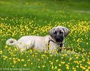 20160521-kdca-0014