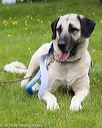 20160521-kdca-0243