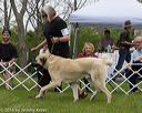 20160521-kdca-0028
