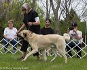 20160521-kdca-0030