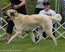 20160521-kdca-0049