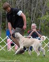 20160521-kdca-0171