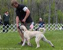 20160521-kdca-0179