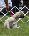 20160521-kdca-0184