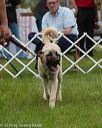 20160521-kdca-0185