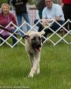 20160521-kdca-0188