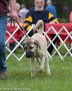 20160521-kdca-0202