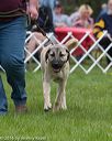 20160521-kdca-0204