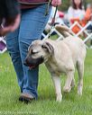 20160521-kdca-0207