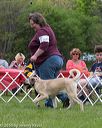 20160521-kdca-0210