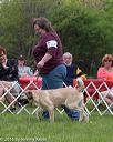20160521-kdca-0213