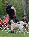 20160521-kdca-0222