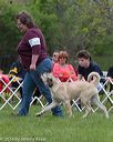 20160521-kdca-0228