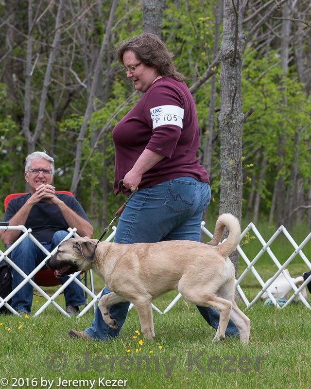 20160521-kdca-0173.jpg