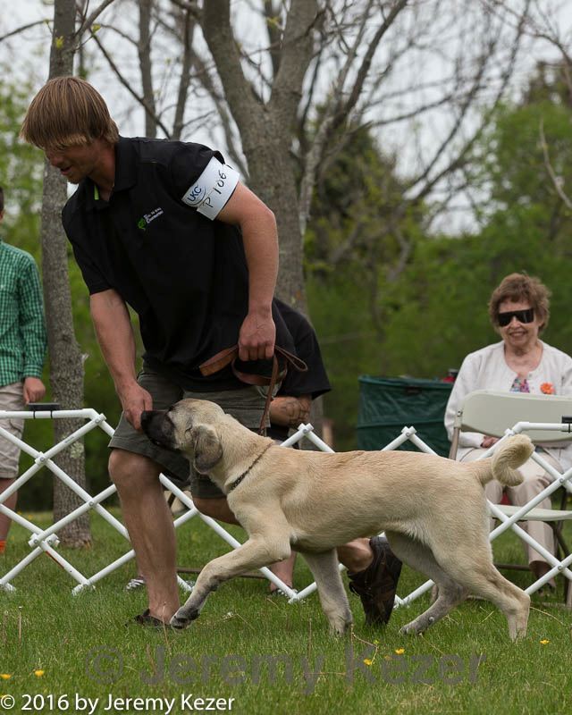 20160521-kdca-0195.jpg