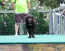 20160813-0676