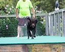 20160813-0699