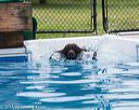 20160813-0137