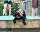 20160813-0225
