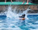 20160813-0279