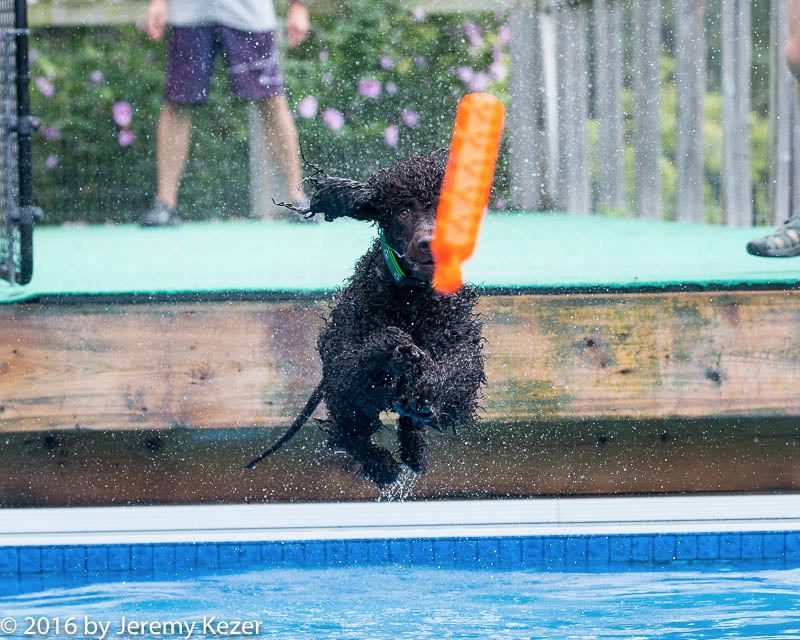 20160813-0054.jpg