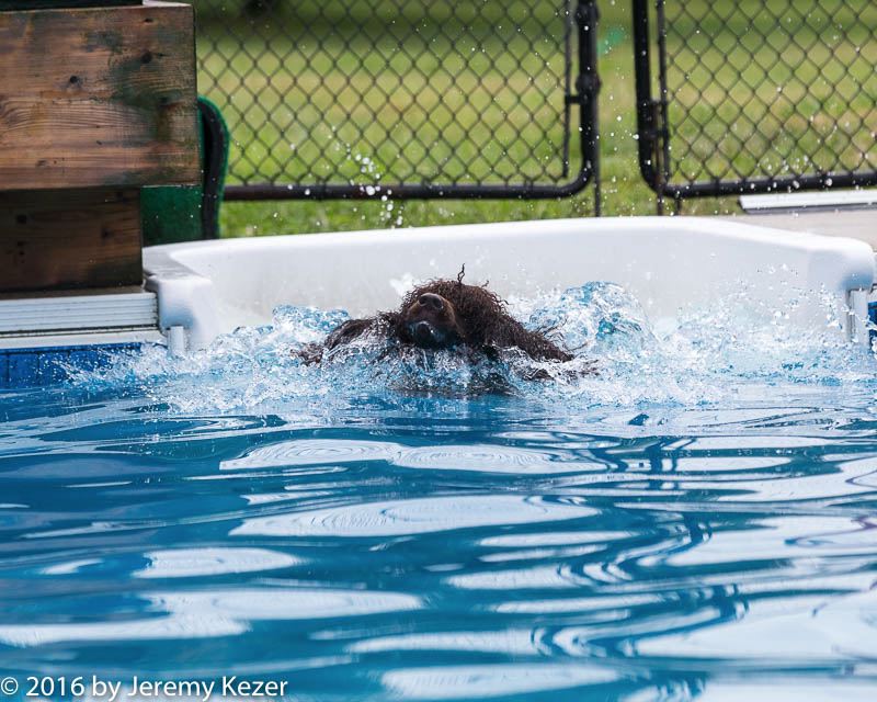 20160813-0139.jpg