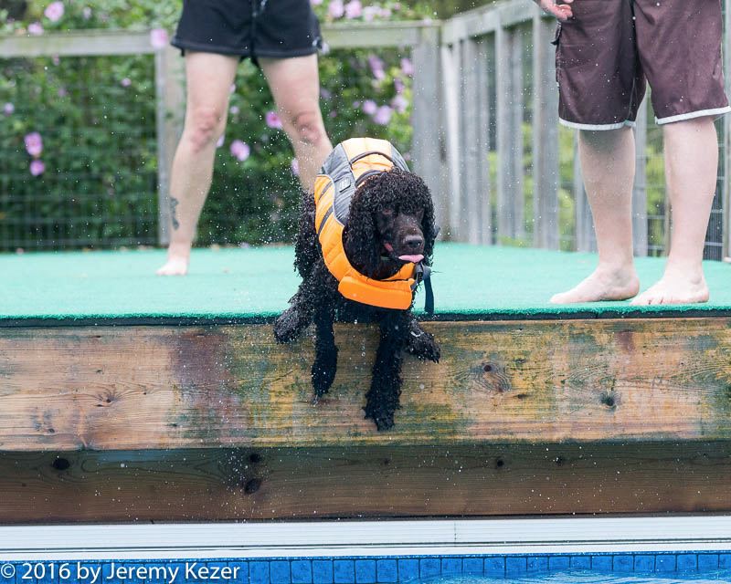 20160813-0272.jpg