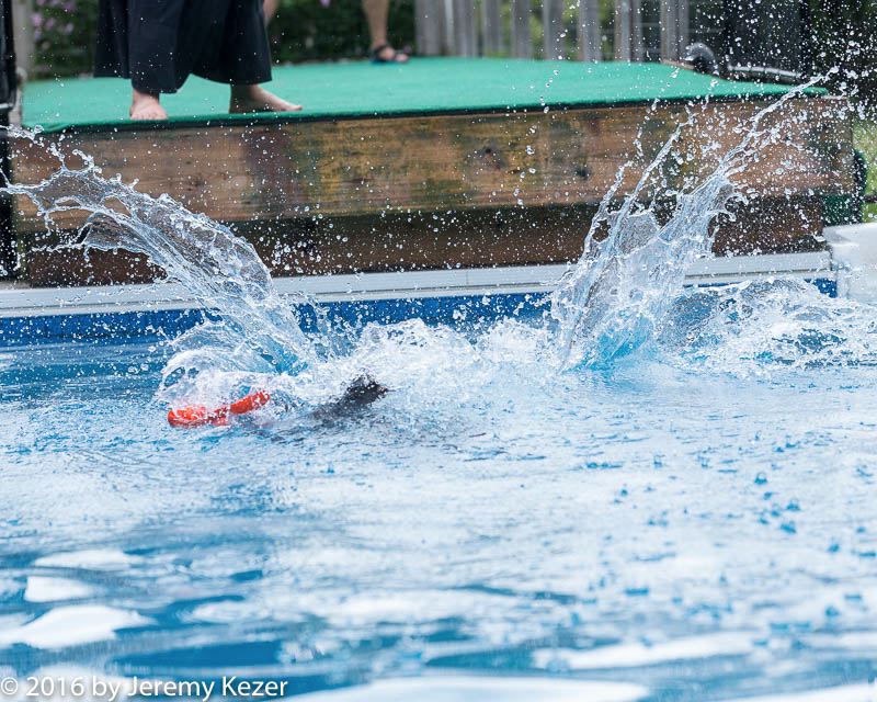 20160813-0361.jpg