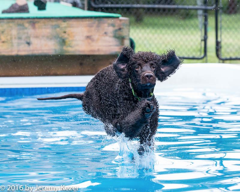 20160813-0767.jpg