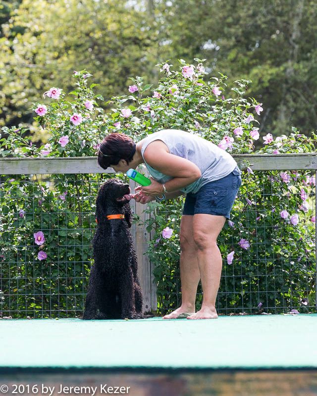 20160813-0823.jpg
