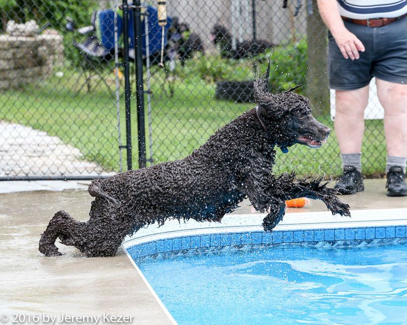 20160814-0252.jpg