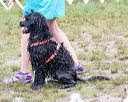 20160820-awd-0011