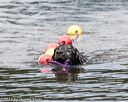 20160820-awd-0132