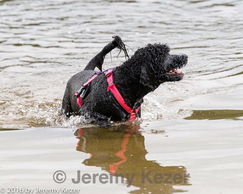 20160820-cwd-0015.jpg
