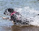 20160820-jwd-0298