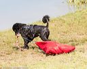 20160820-wwd-0004