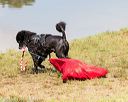 20160820-wwd-0006