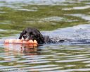 20160820-wwd-0017