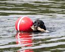 20160820-wwd-0054