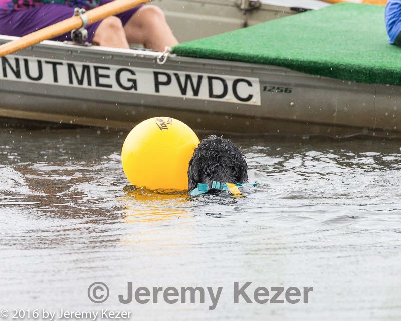 20160821-cwd-0088.jpg