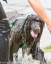20160821-jwd-0218