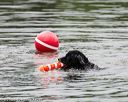 20160821-wwd-0037