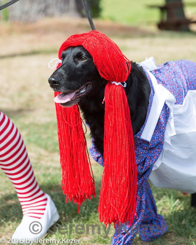 20160911-0259.jpg