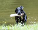 20160911-0027